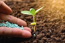 Fertilizers