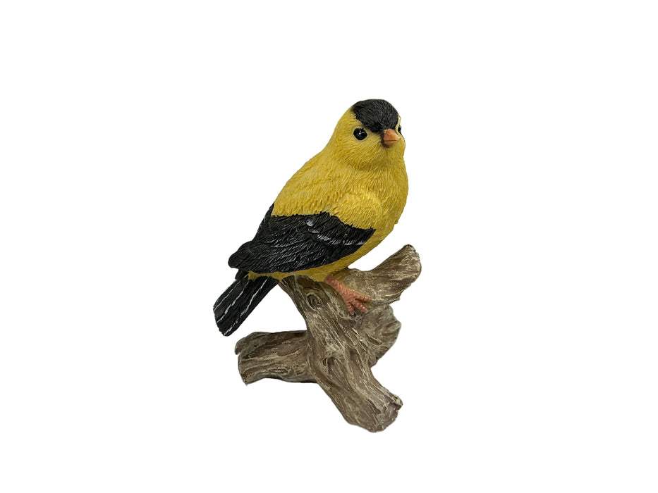 American Goldinch On Log