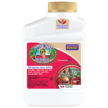 Bonide Dead Bug Brew 16oz Conc.