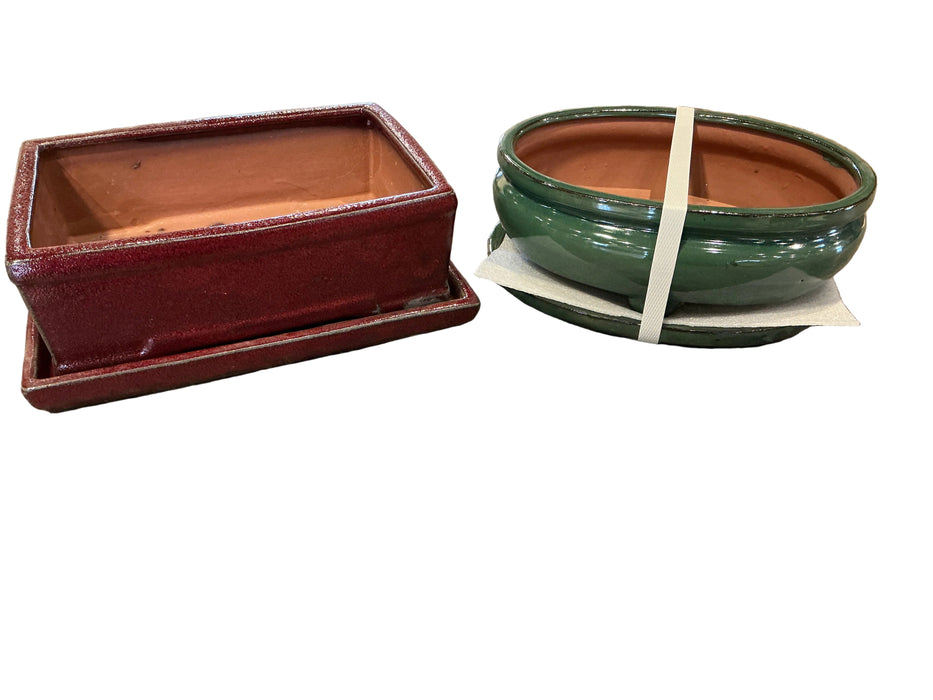10" Cactus & Bonsai Pot