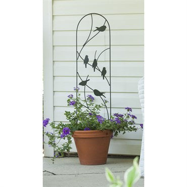 PAN 40" Bird Pot Trellis Bl