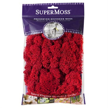 SuperMoss 8oz Reindeer Moss Red