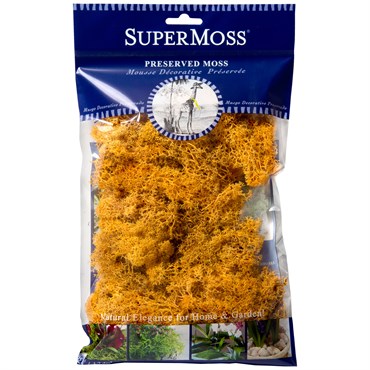 SuperMoss 2oz Reindeer Moss Man