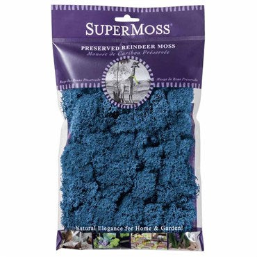 SuperMoss Reindeer Moss Blue