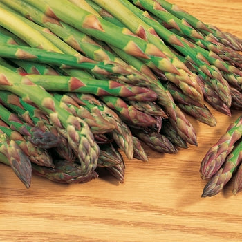 Asparagus-Mary Washington - G1