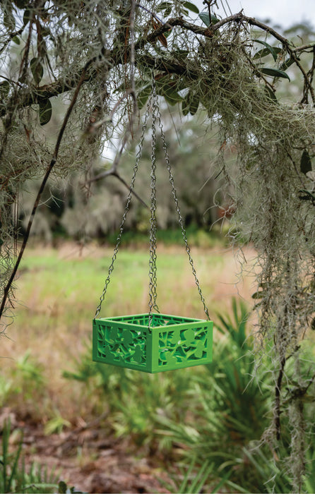 Orchid Pot W/Chains - 10"