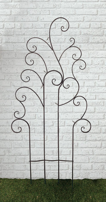 Marshall Scroll Trellis