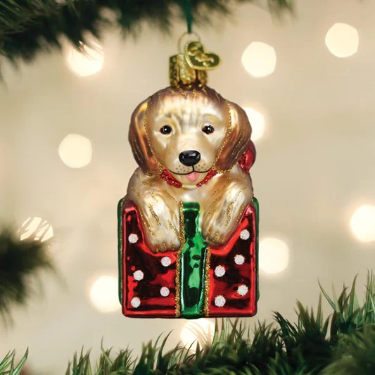 OWC-Golden Puppy Suprise