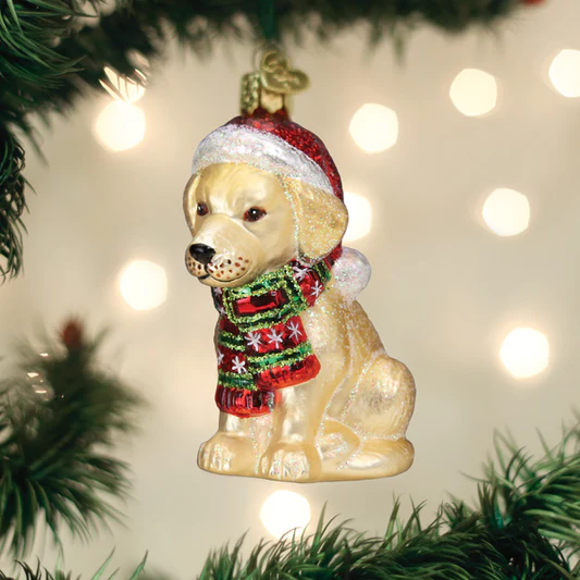 OWC-Yellow Labrador Puppy