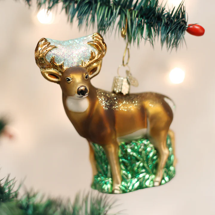 OWC-Whitetail Deer