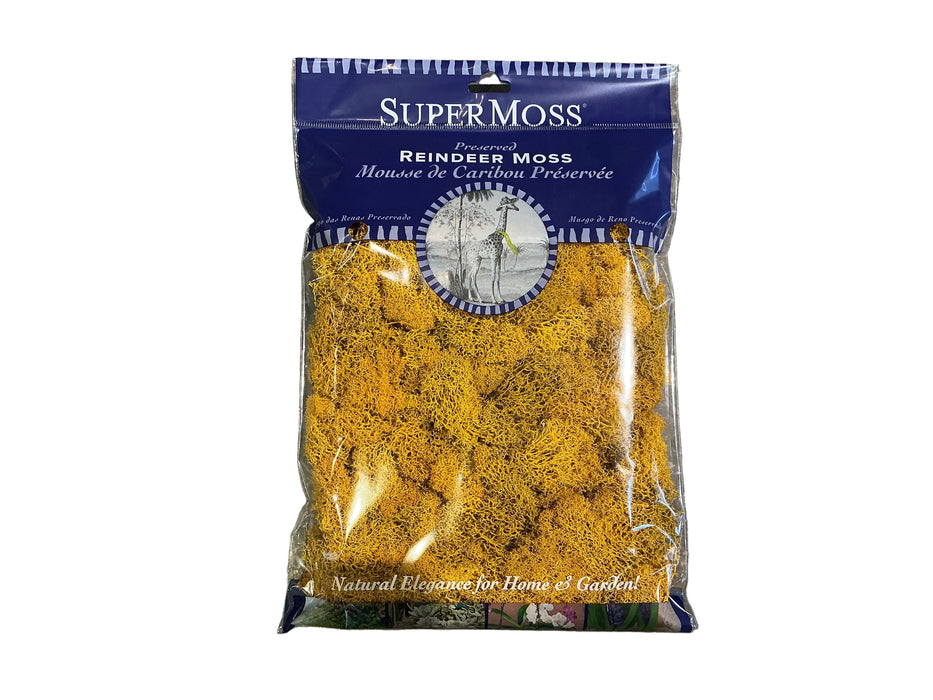 Reindeer Moss, Mango 2 oz