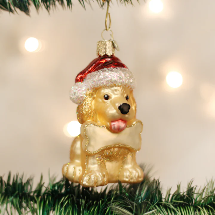 OWC-Jolly Pup