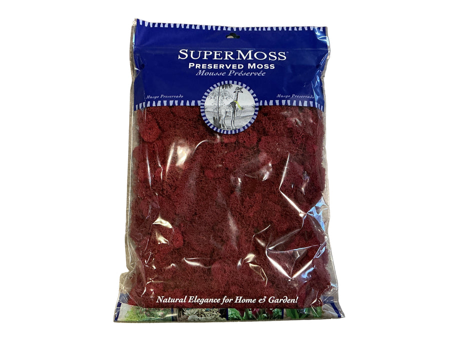 SuperMoss 8oz Reindeer Moss Red