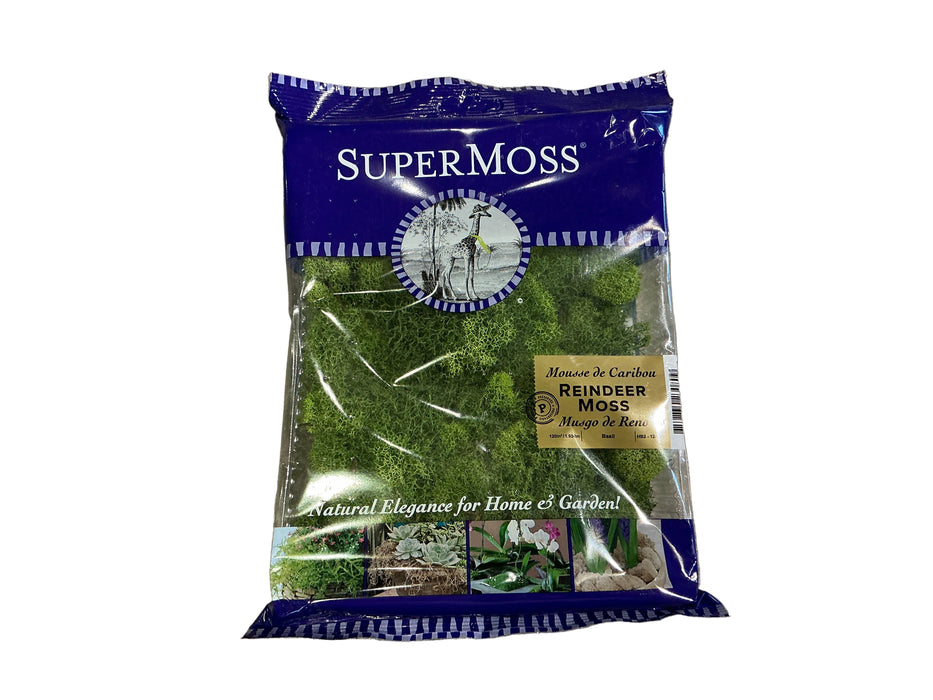 SuperMoss 2oz Reindeer Moss Bas