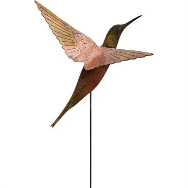 Copper Hummingbird
