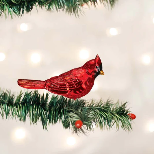 OWC-Shiny Red Northern Cardinal