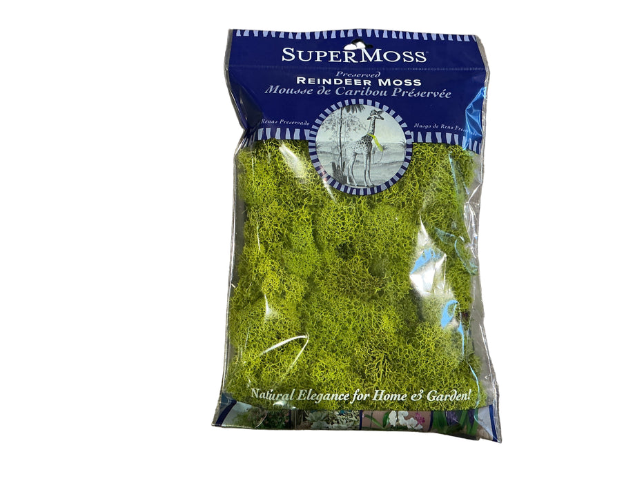 SuperMoss 2oz Reindeer Moss Chartreuse
