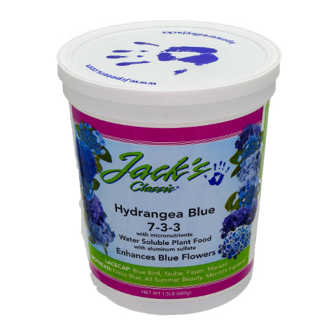 Jack's Classic Hydrangea Blue